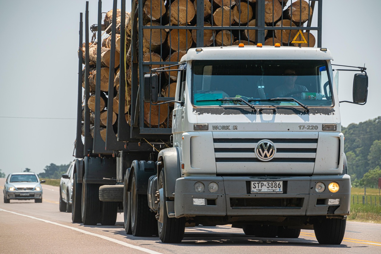 E-Transport: 3 conditii ca sa modifici datele legal